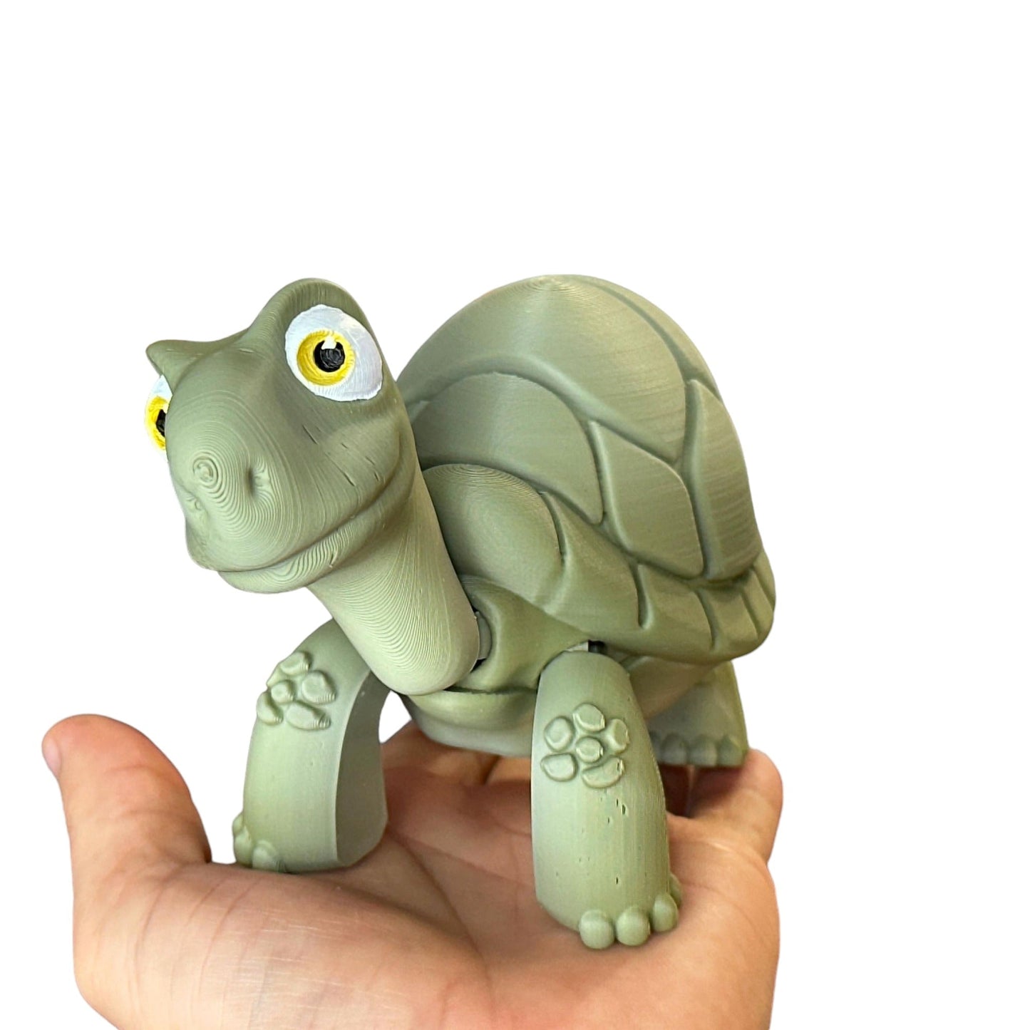 Baby 3D Printed Turtle