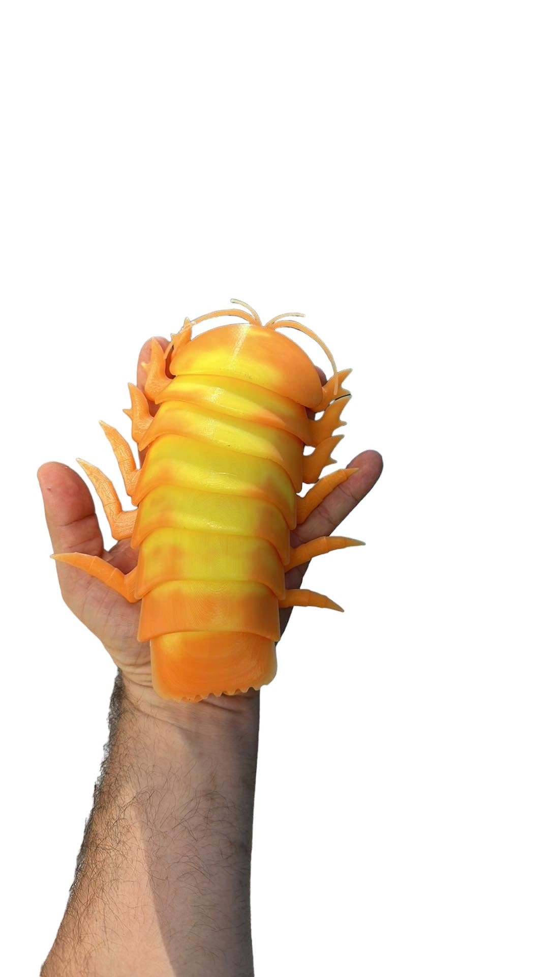 3D Printed Isopod