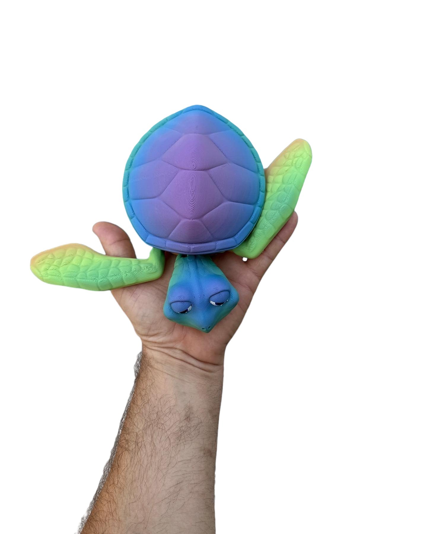 3D Printed Sea Turtle
