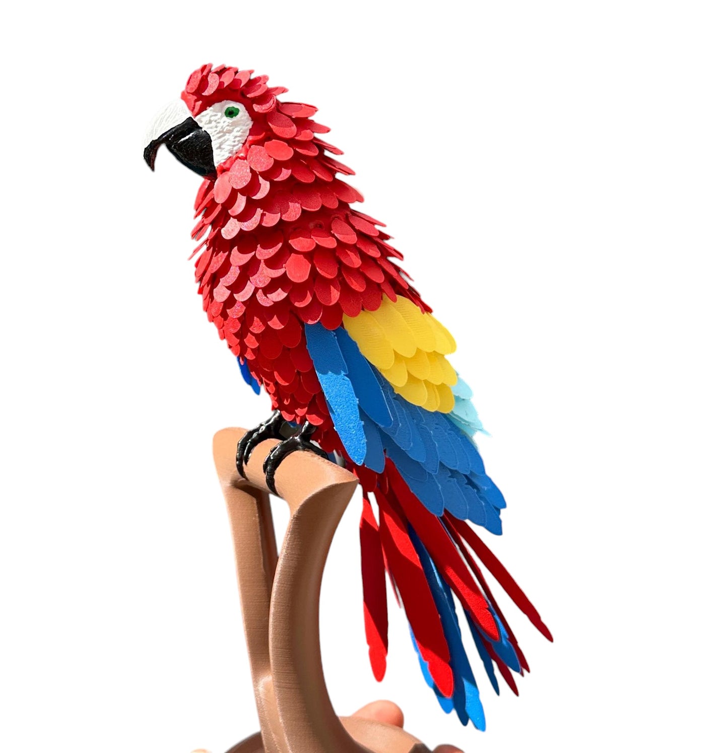 3D Printed Parrot