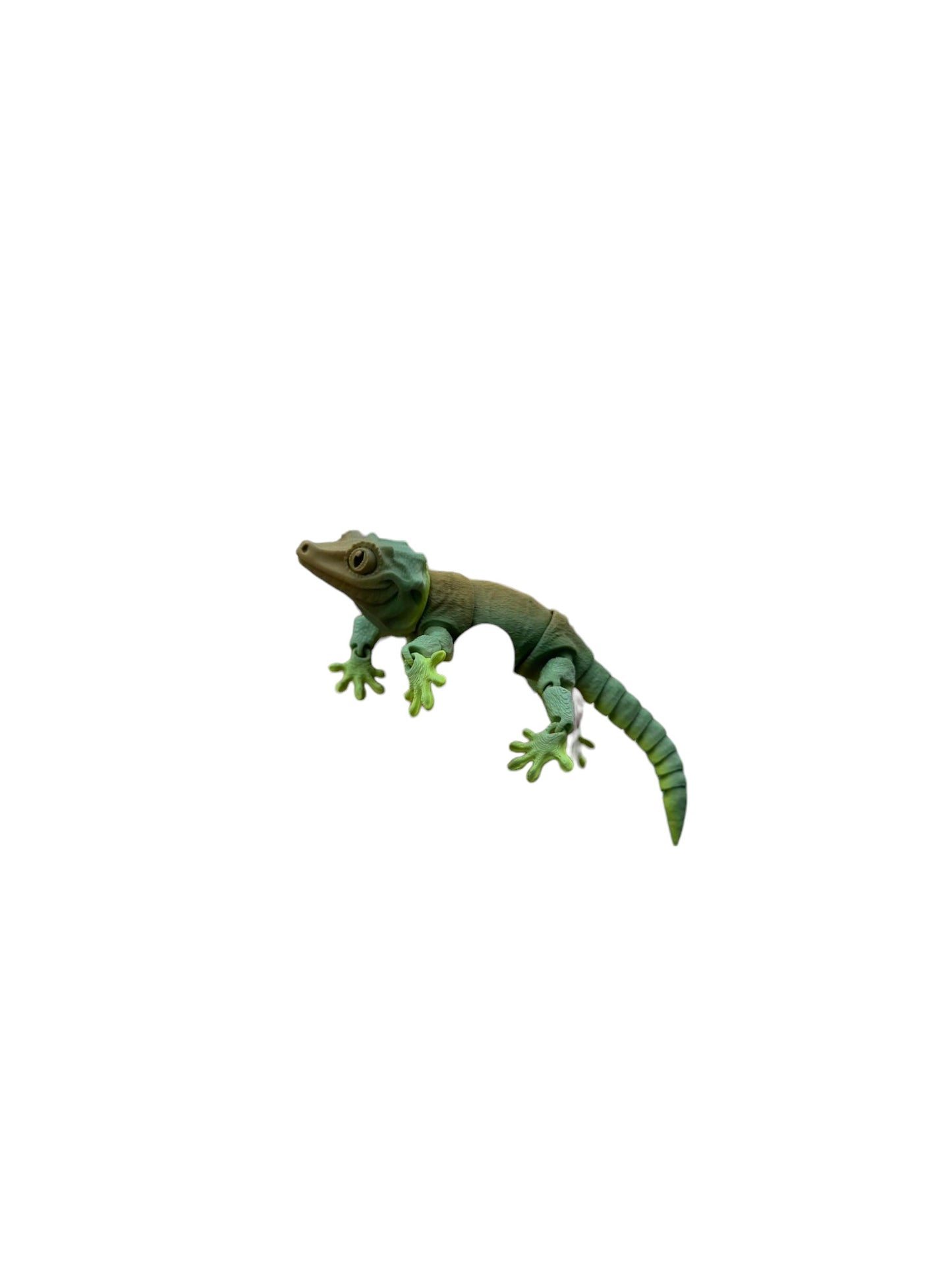 3D Gargoyle Gecko