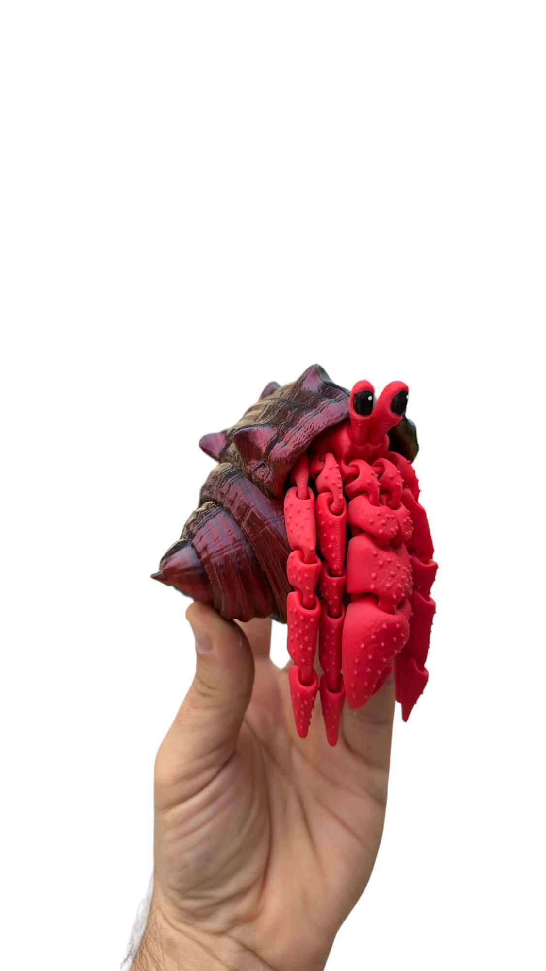 Baby 3D Printed Hermit Crab