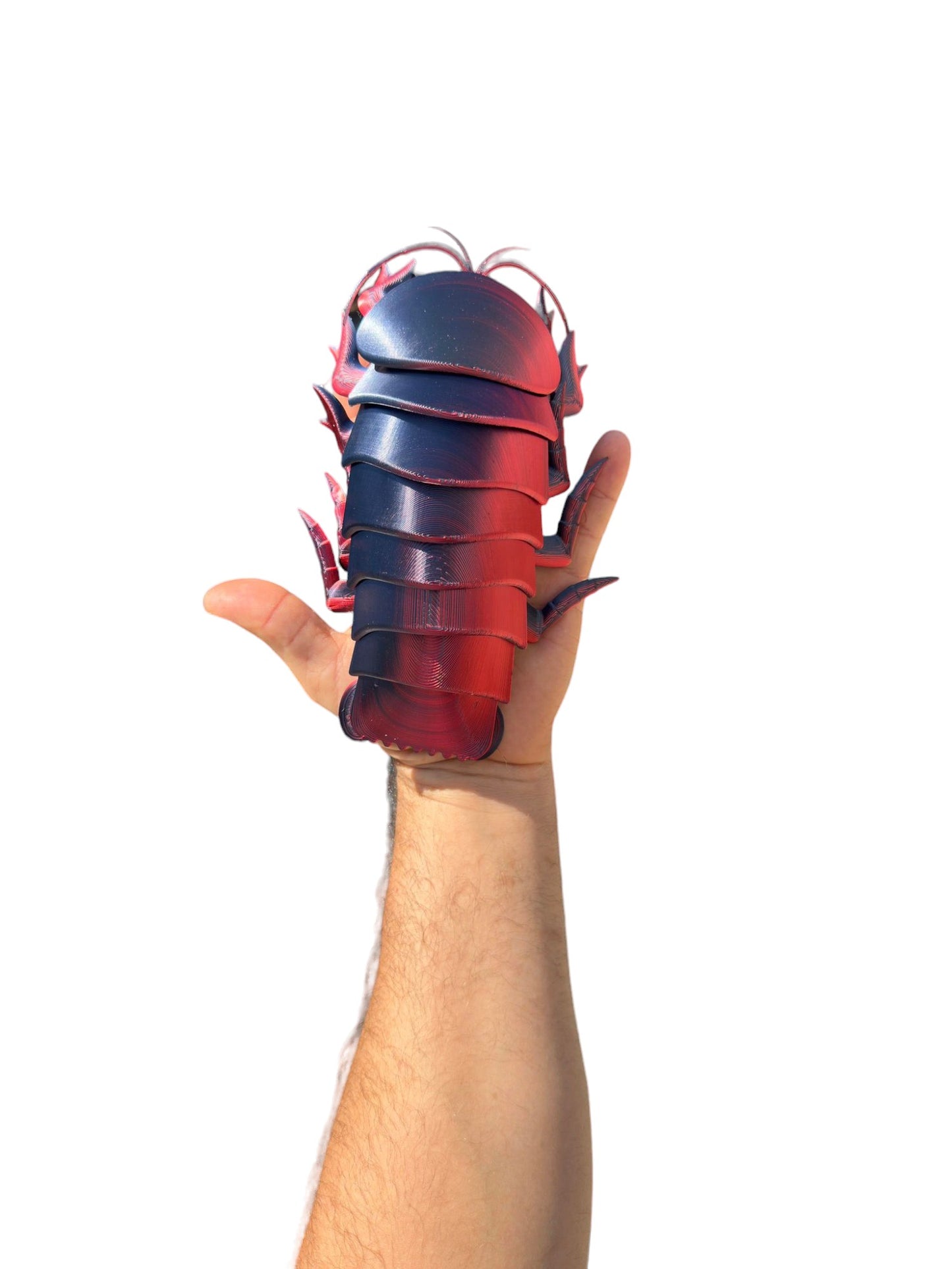 3D Printed Isopod