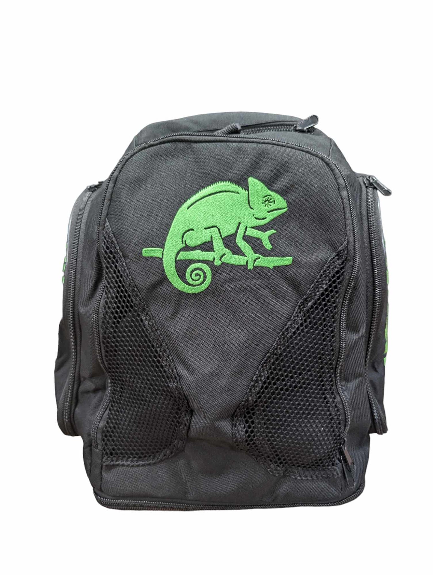 Chameleon Embroidered Backpack