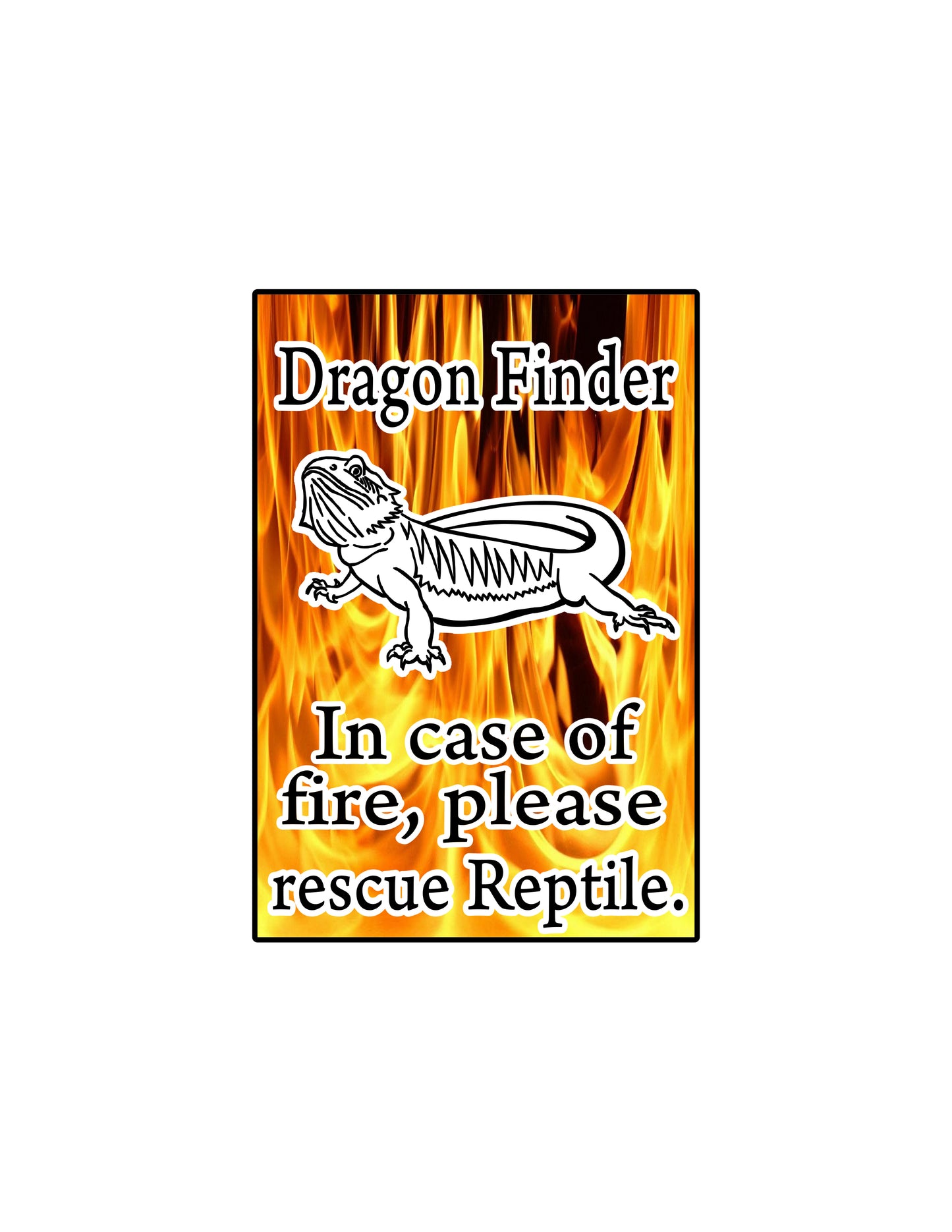 Dragon Finder Sticker (G22)
