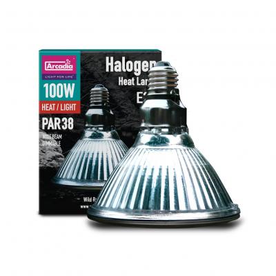 Halogen Heat Lamp